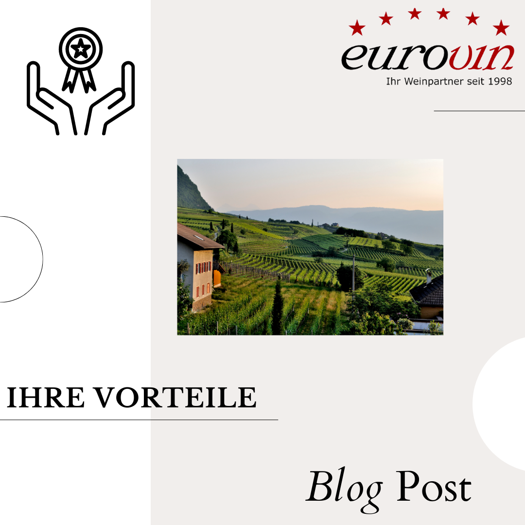 Warum Eurovin?
