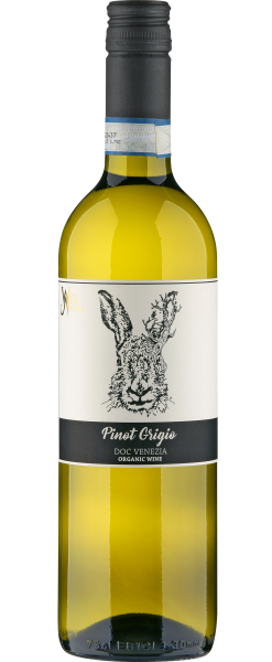 Pinot Grigio Venezia DOC Organic