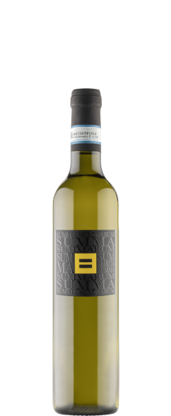Summa Summarum 
Pinot Grigio 
delle Venezie DOP