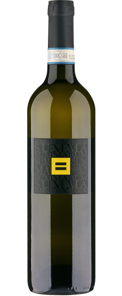 Summa Summarum 
Pinot Grigio 
delle Venezie DOP