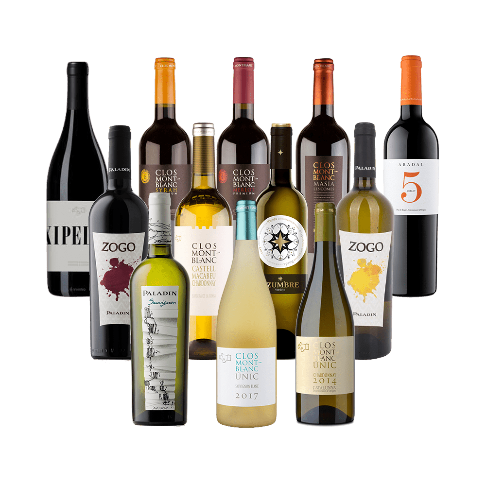Degustationspaket «Italien & Spanien - Rot- & Weisswein»
