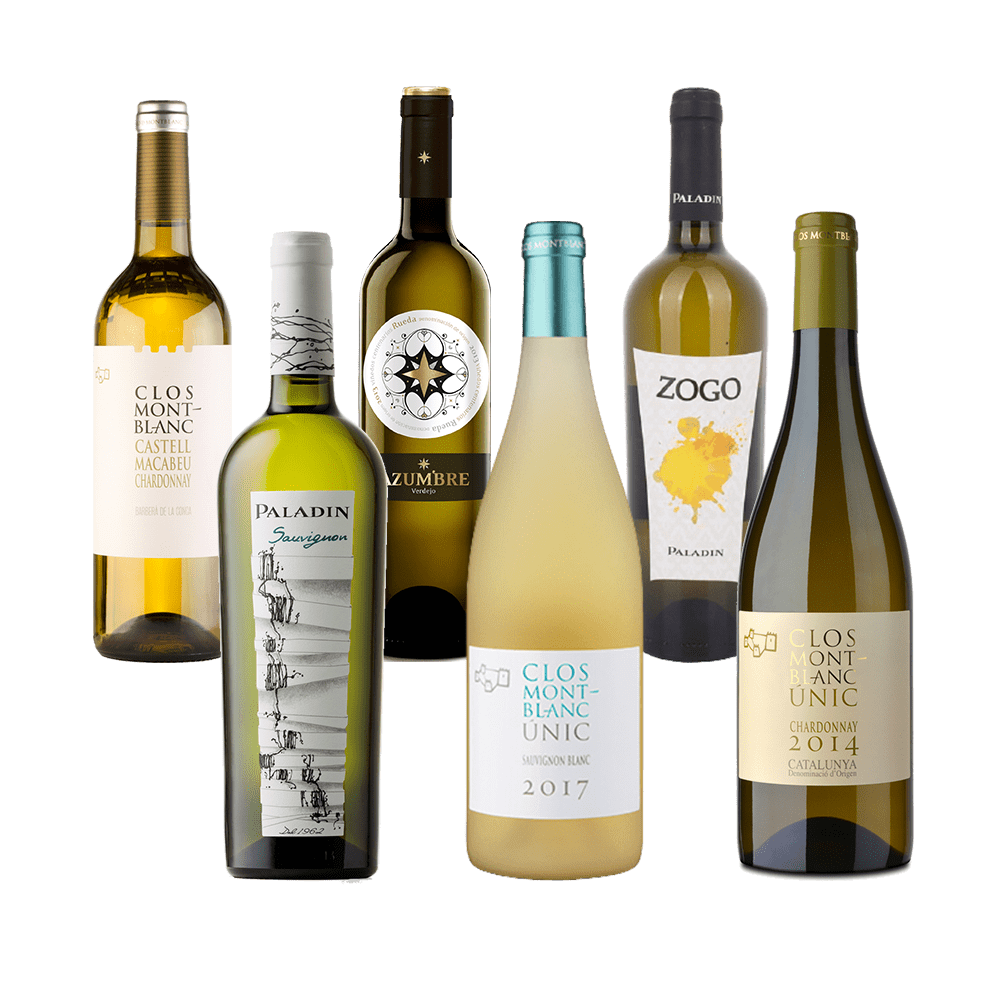 Degustationspaket «Italien und Spanien - Weisswein»